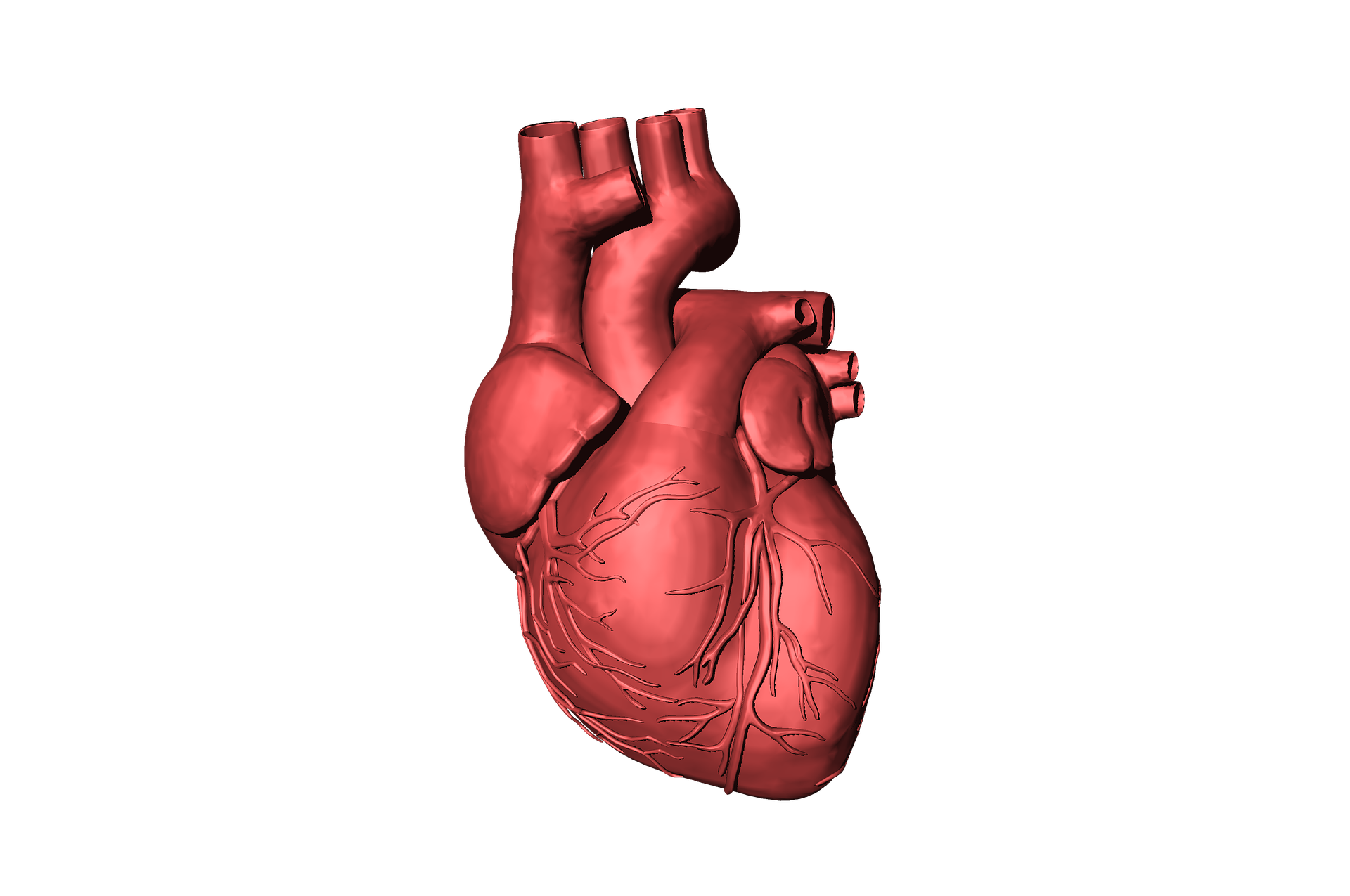 Al año nacen 4.000 niños con cardiopatías en España, el defecto congénito más común del mundo